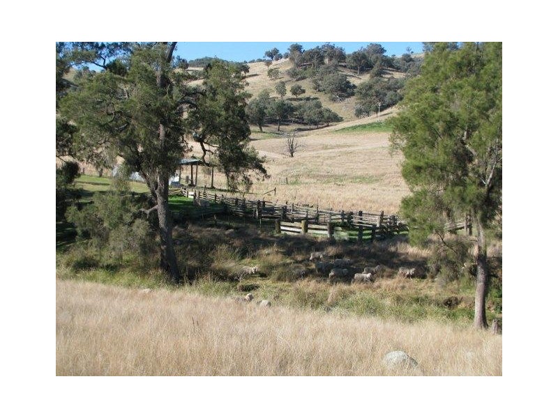 Tamworth NSW 2340