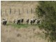 Tamworth NSW 2340