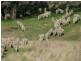 Tamworth NSW 2340