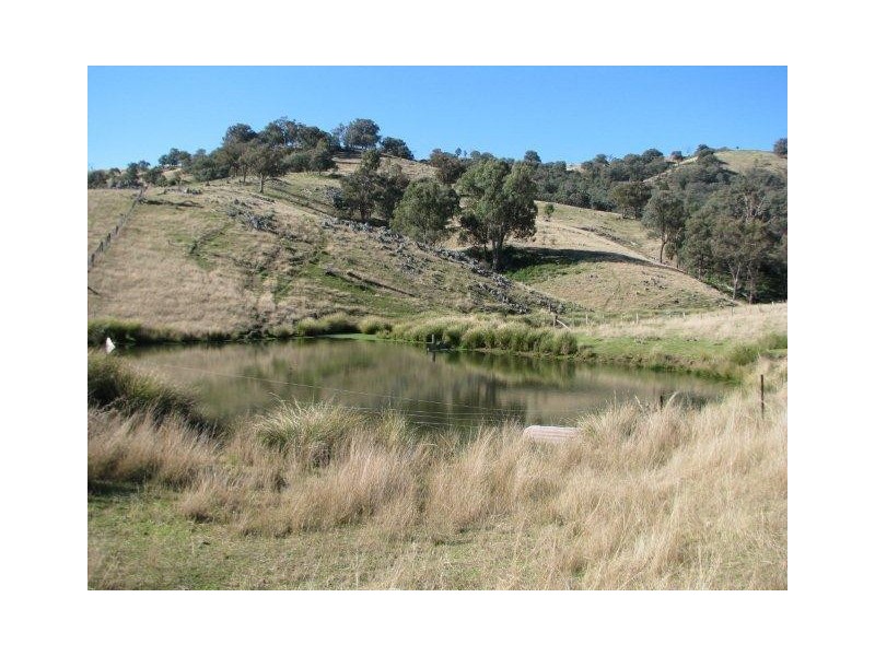 Tamworth NSW 2340