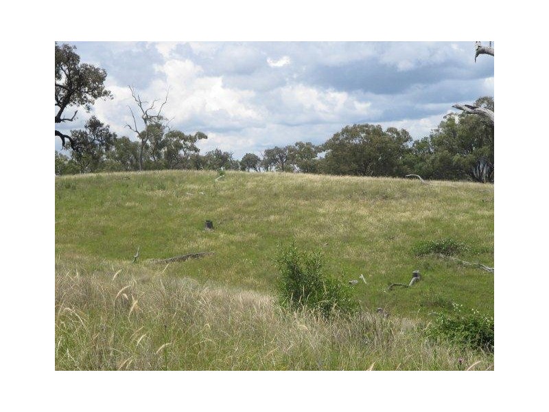 826 Bundarra Road, Barraba NSW 2347