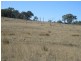 826 Bundarra Road, Barraba NSW 2347