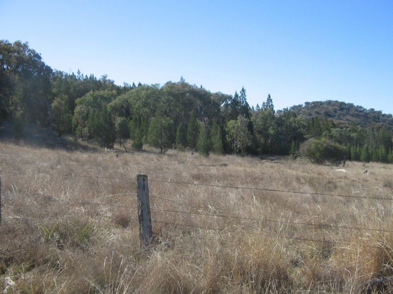 826 Bundarra Road, Barraba NSW 2347