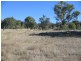 826 Bundarra Road, Barraba NSW 2347