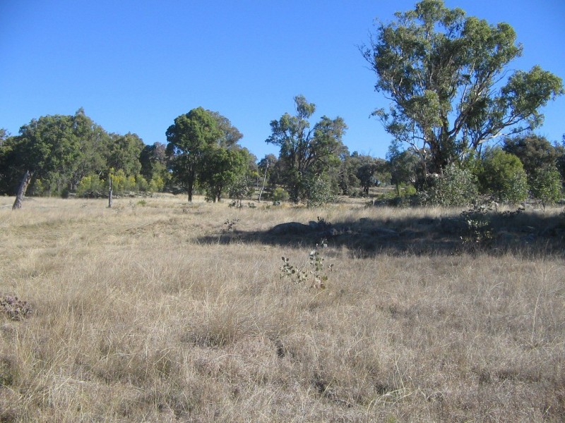 826 Bundarra Road, Barraba NSW 2347