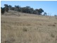 826 Bundarra Road, Barraba NSW 2347