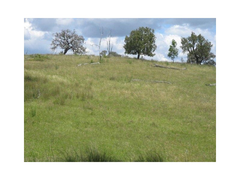 826 Bundarra Road, Barraba NSW 2347