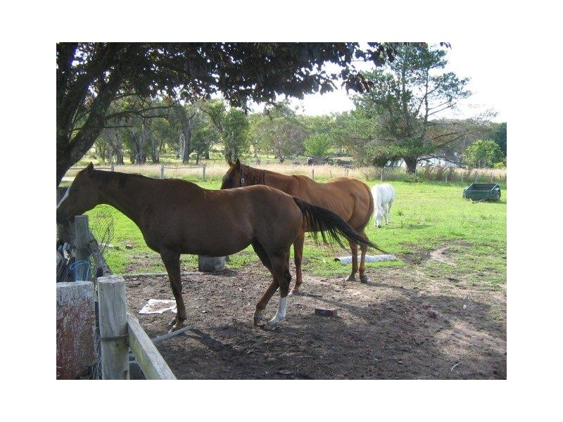 10 Tilmunda Road, Watsons Creek NSW 2355