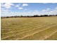 Tamworth NSW 2340