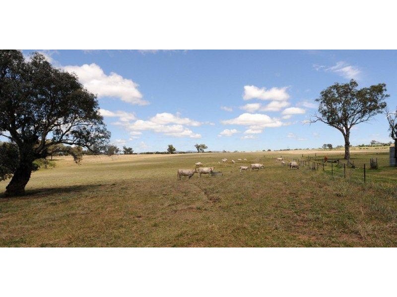 Tamworth NSW 2340