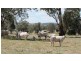 Tamworth NSW 2340