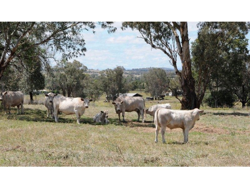 Tamworth NSW 2340
