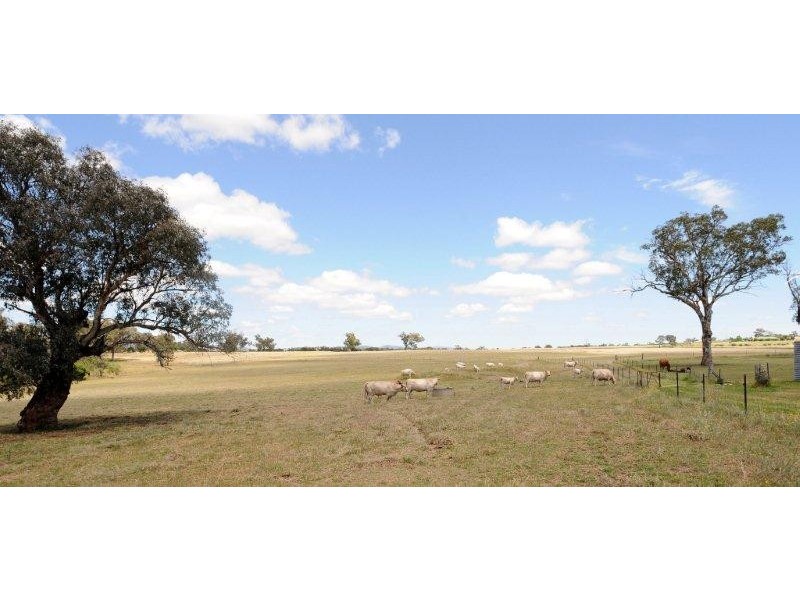 Tamworth NSW 2340