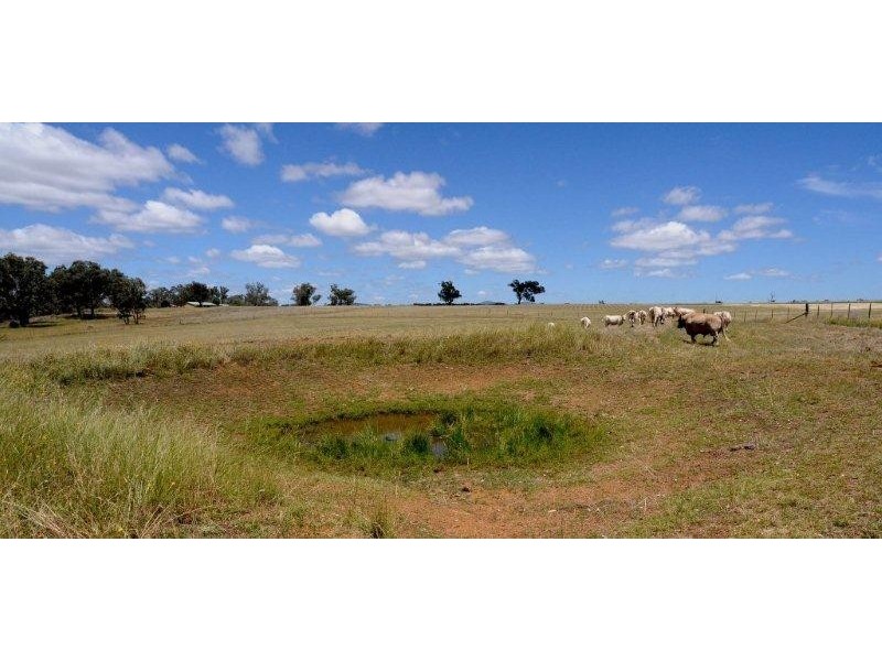Tamworth NSW 2340
