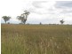Inverness Old Winton Road, Winton NSW 2344