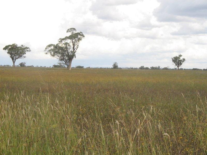 Inverness Old Winton Road, Winton NSW 2344