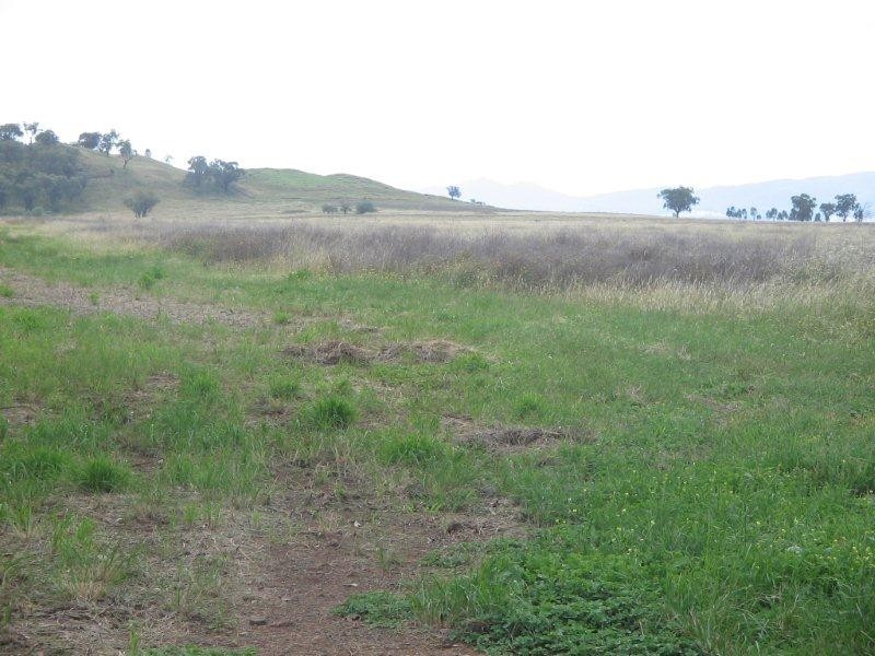 Inverness Old Winton Road, Winton NSW 2344