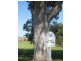 279 Gidley-Appleby Road, Tamworth NSW 2340
