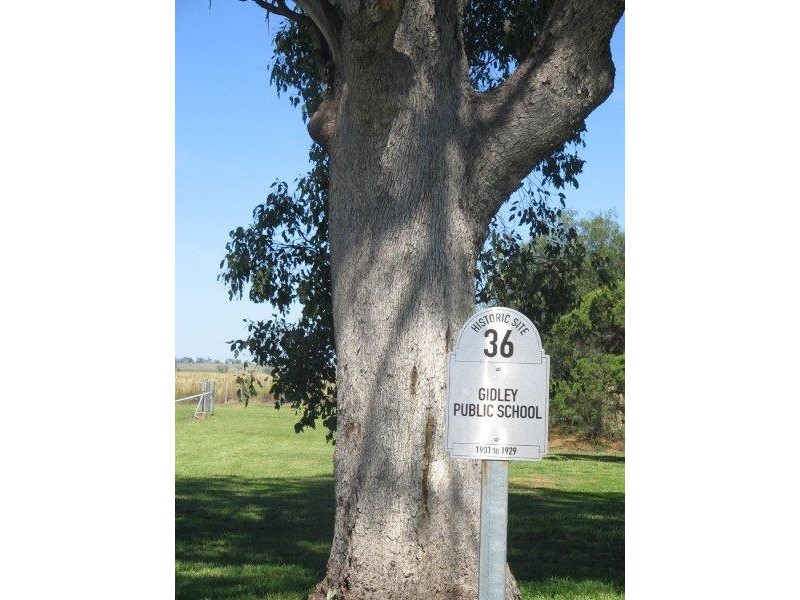 279 Gidley-Appleby Road, Tamworth NSW 2340