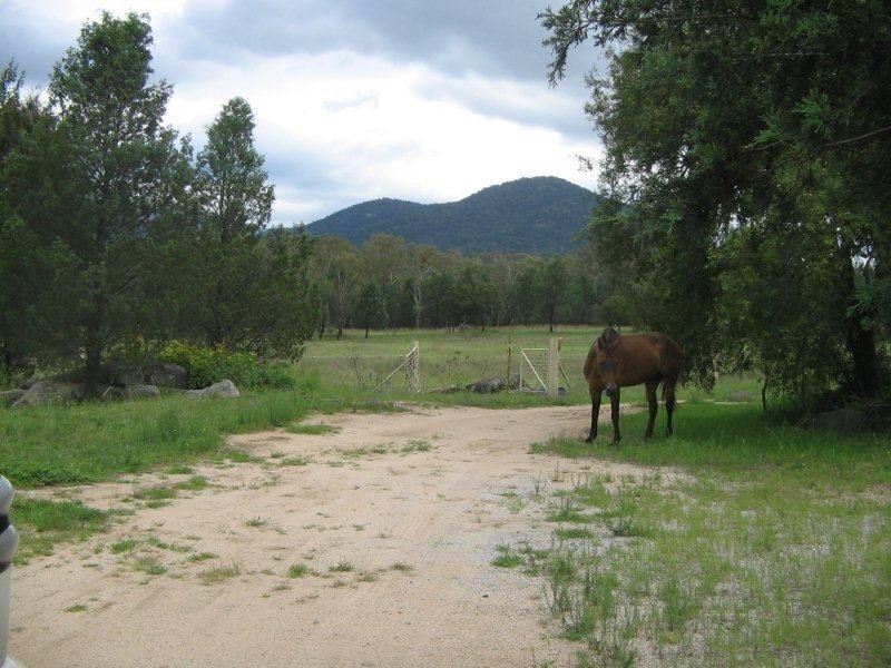 Lot 15 Daruka Road, Tamworth NSW 2340