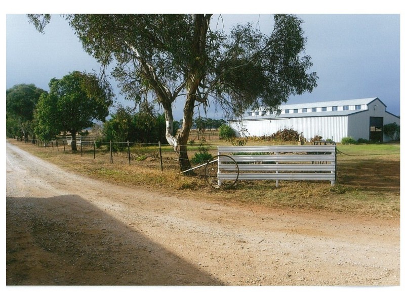 407 Meadows Lane, Tamworth NSW 2340