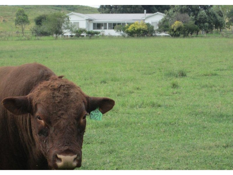 333 Garoo Road, Garoo, Tamworth NSW 2340