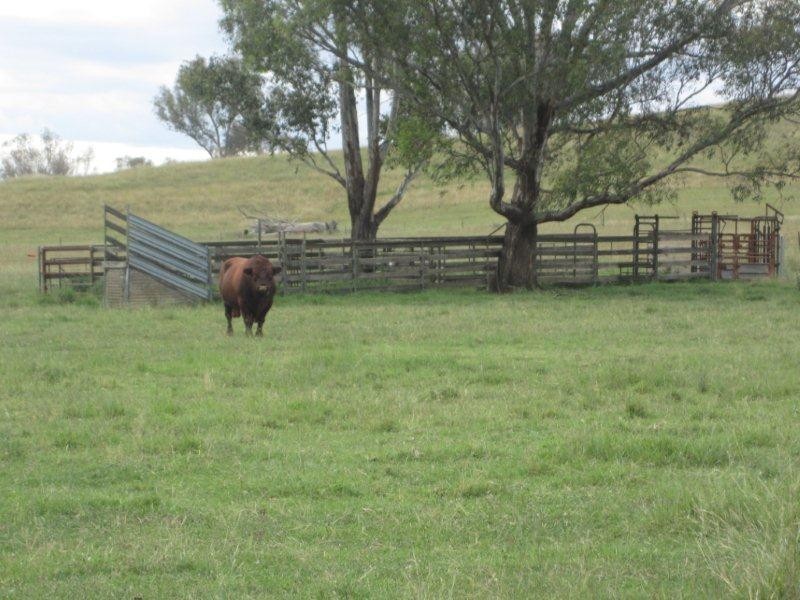 333 Garoo Road, Garoo, Tamworth NSW 2340