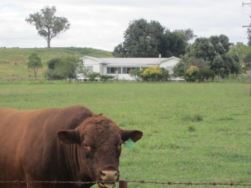 333 Garoo Road, Garoo, Tamworth NSW 2340