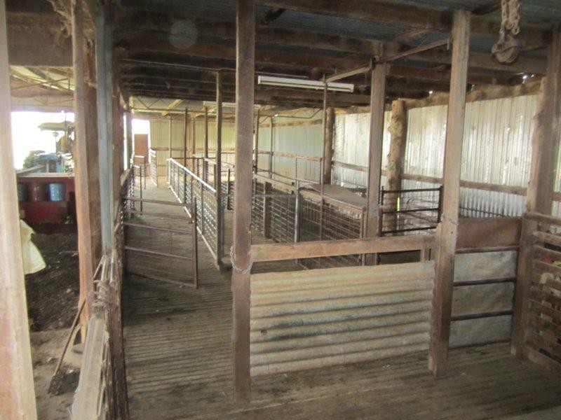 333 Garoo Road, Garoo, Tamworth NSW 2340