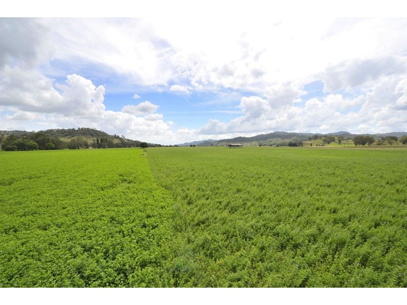 661 Dungowan Creek Road, Tamworth NSW 2340