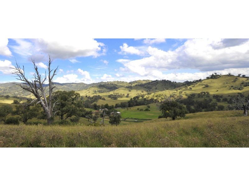 661 Dungowan Creek Road, Tamworth NSW 2340