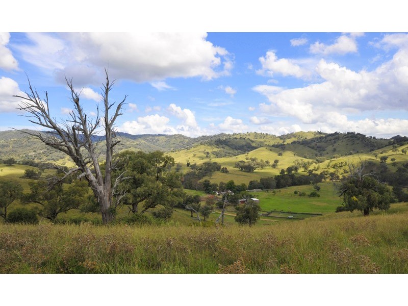 661 Dungowan Creek Road, Tamworth NSW 2340