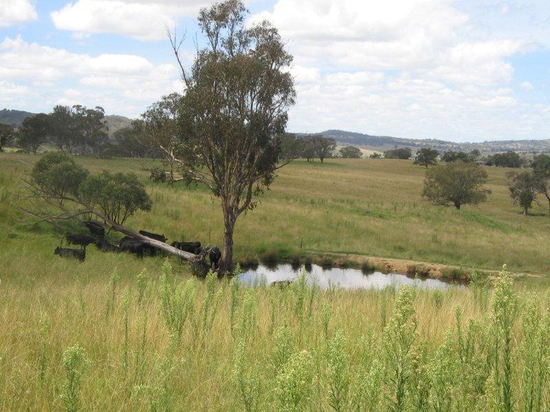 389 Gardners Road, Bendemeer NSW 2355