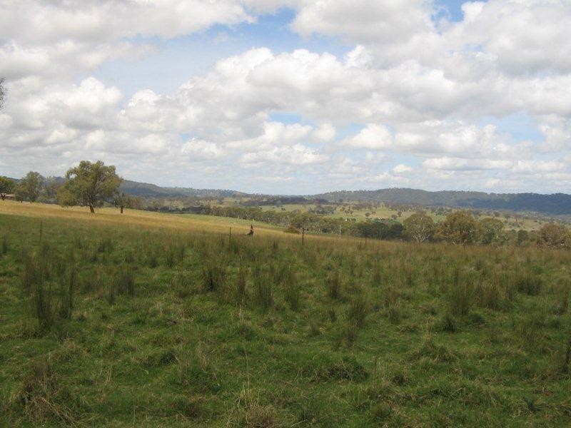 389 Gardners Road, Bendemeer NSW 2355