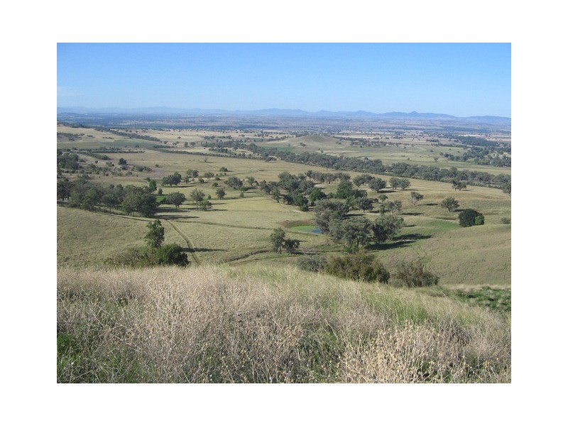 “Longview” Attunga, Attunga NSW 2345