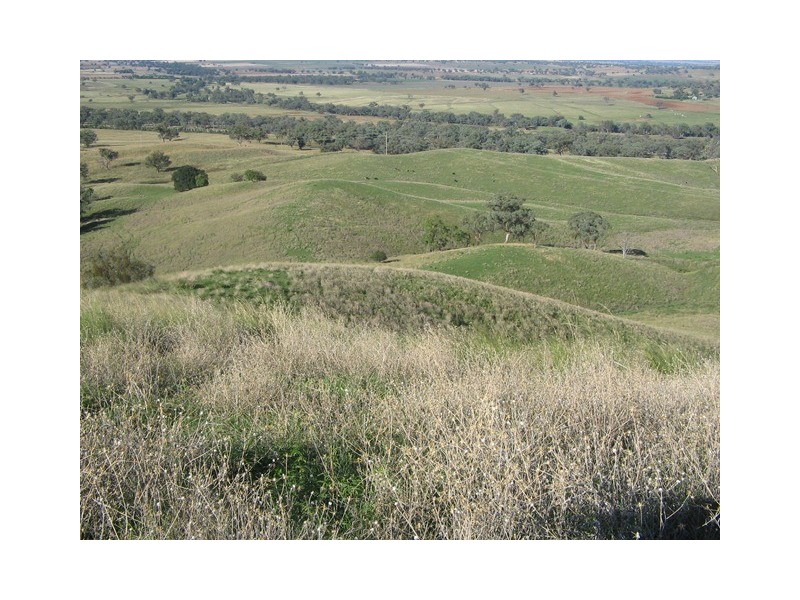 “Longview” Attunga, Attunga NSW 2345