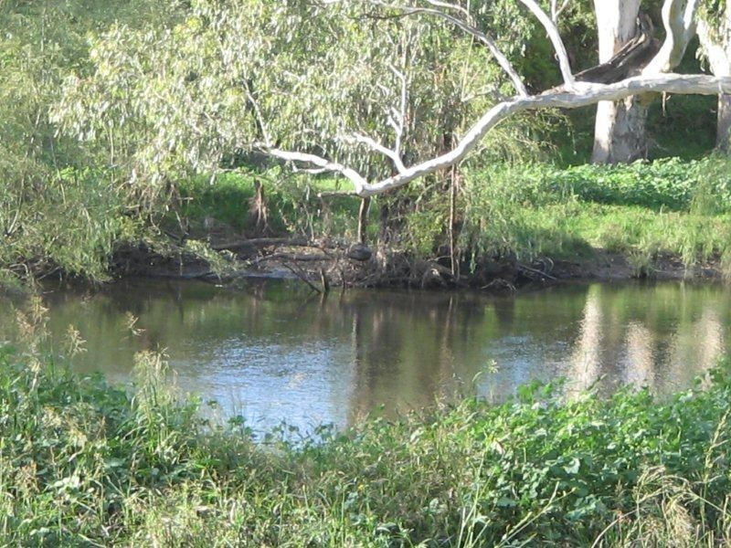 132 Halls Creek Road, Manilla NSW 2346