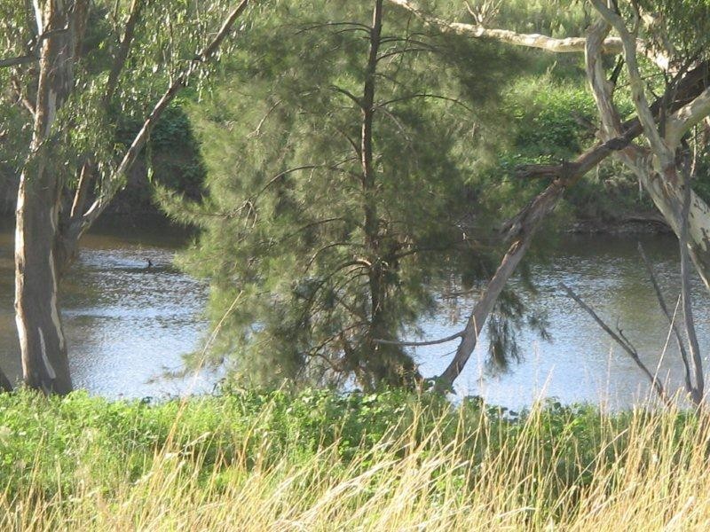 132 Halls Creek Road, Manilla NSW 2346