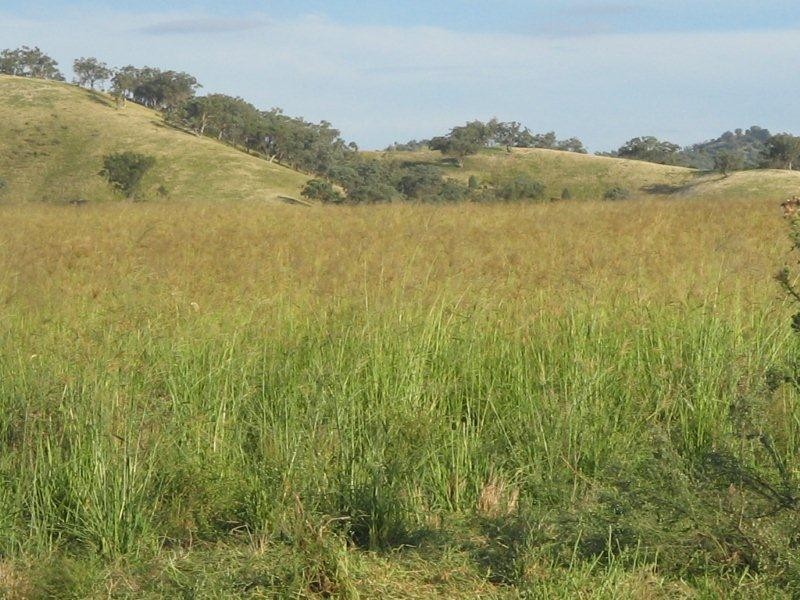 132 Halls Creek Road, Manilla NSW 2346