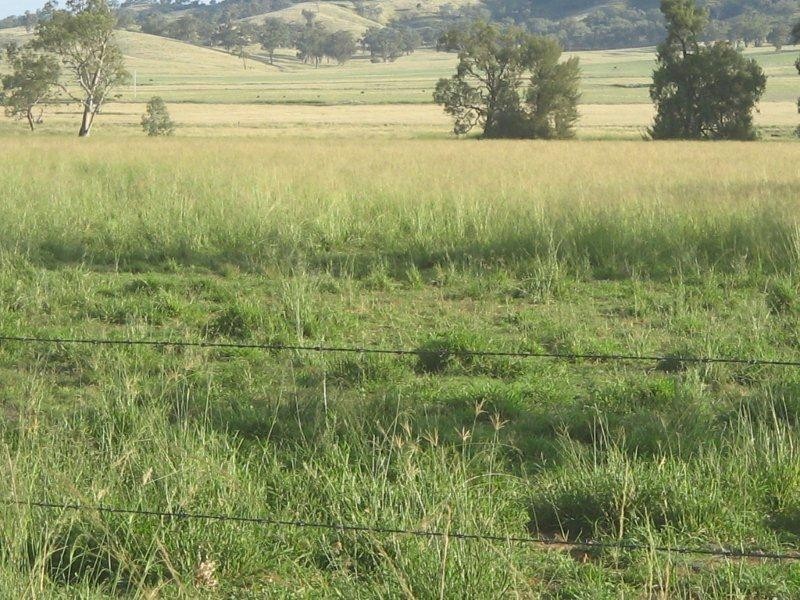 132 Halls Creek Road, Manilla NSW 2346