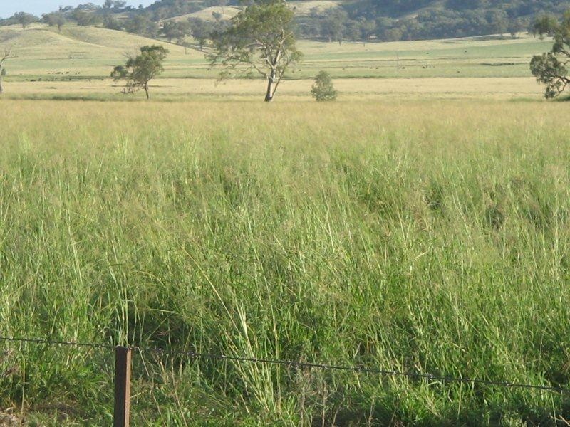 132 Halls Creek Road, Manilla NSW 2346