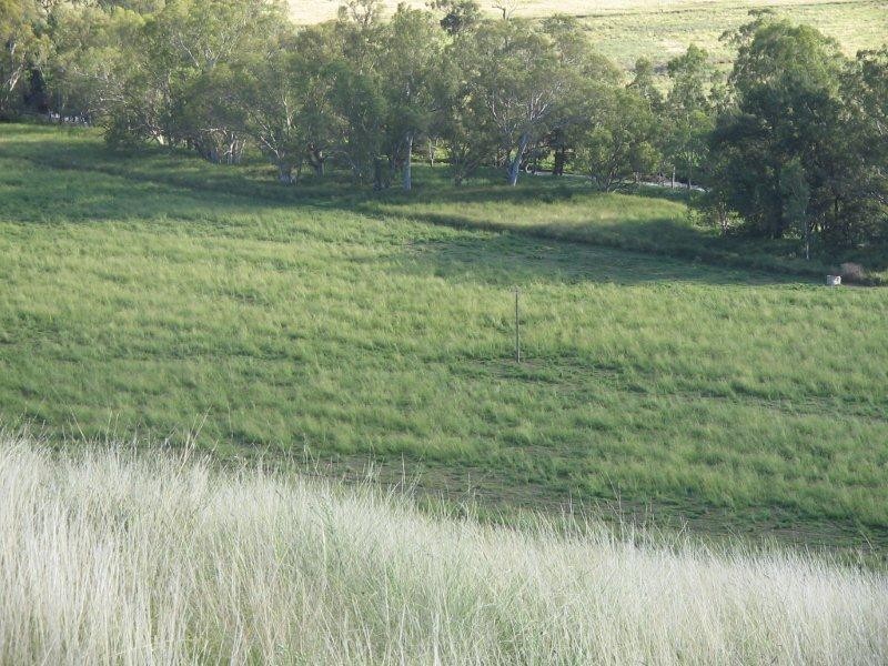 132 Halls Creek Road, Manilla NSW 2346