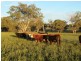 373 Garoo Road, Tamworth NSW 2340
