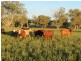 373 Garoo Road, Tamworth NSW 2340