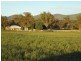 373 Garoo Road, Tamworth NSW 2340
