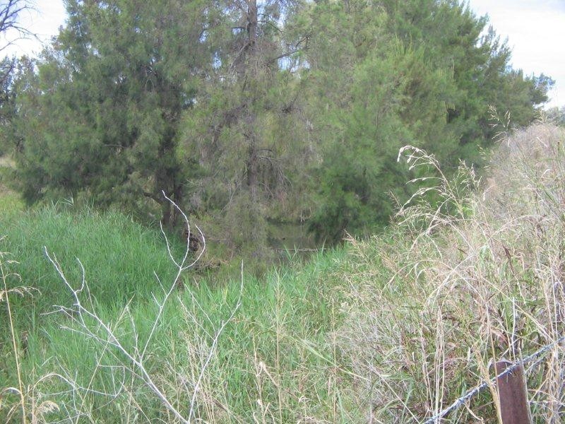 19-23  Calala Lane, Tamworth NSW 2340