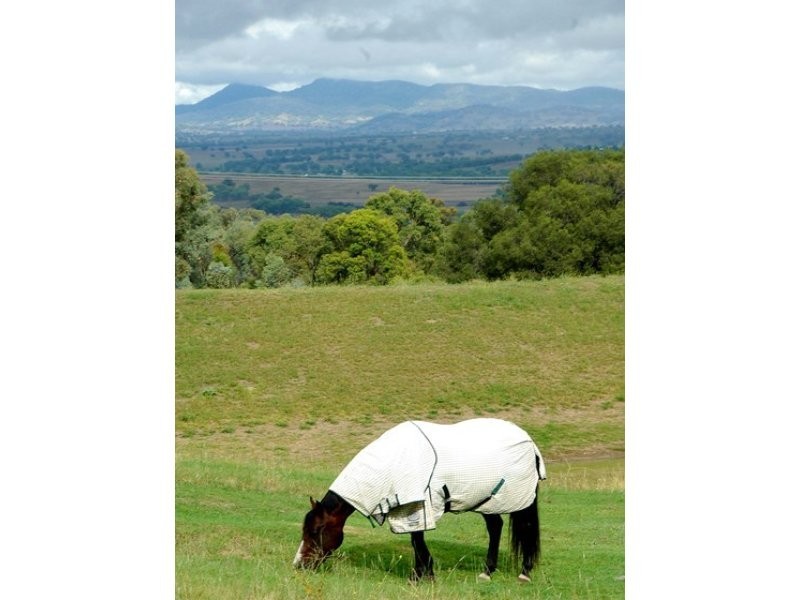 1242 Marsden Park Rd, Tamworth NSW 2340