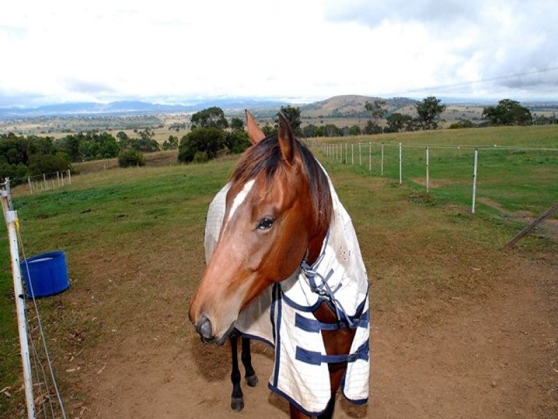 1242 Marsden Park Rd, Tamworth NSW 2340