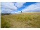 847 Weabonga Road, Limbri NSW 2352