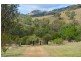 847 Weabonga Road, Limbri NSW 2352